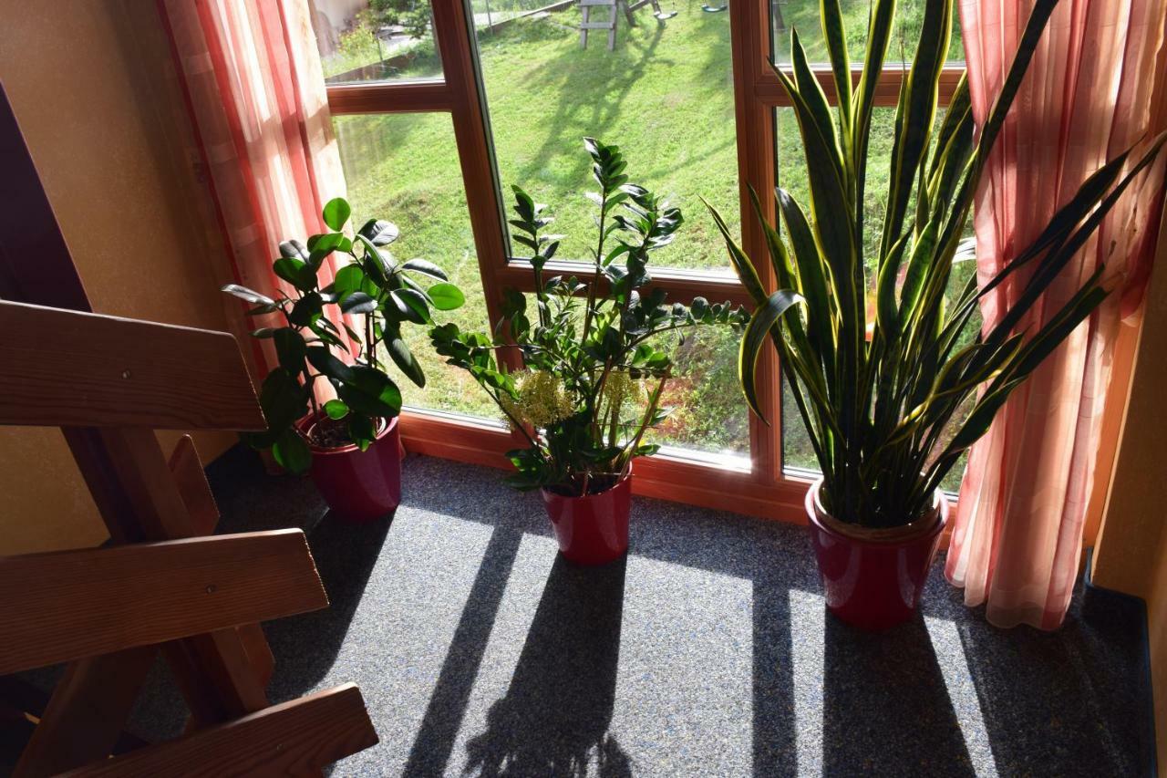 Pension Appartement Ambrosi هيليغنبلت المظهر الخارجي الصورة